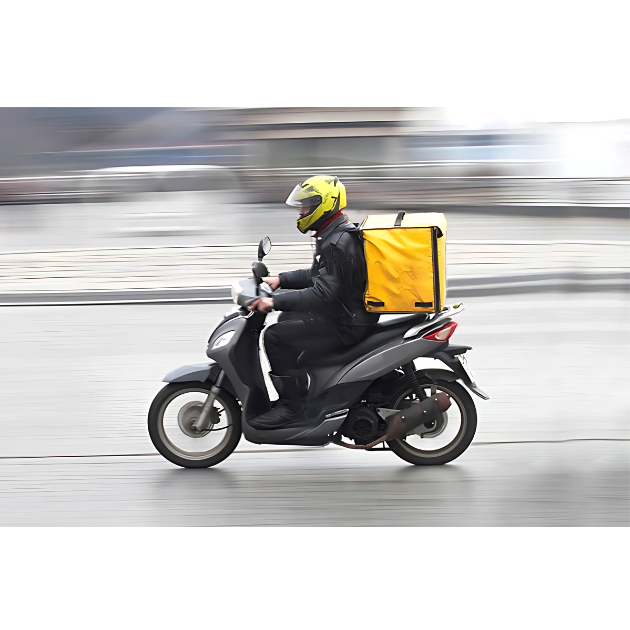 The Karnataka Platform Based Gig Workers (Social Security and Welfare) Ordinance, 2025